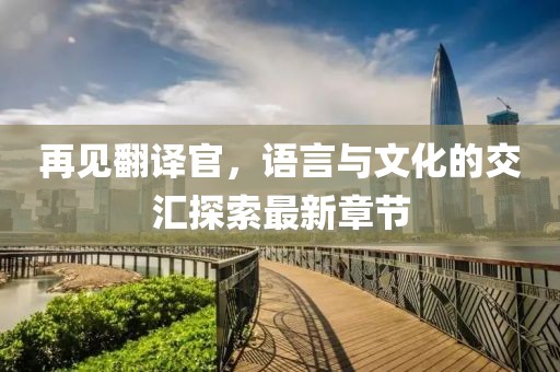 再见翻译官，语言与文化的交汇探索最新章节