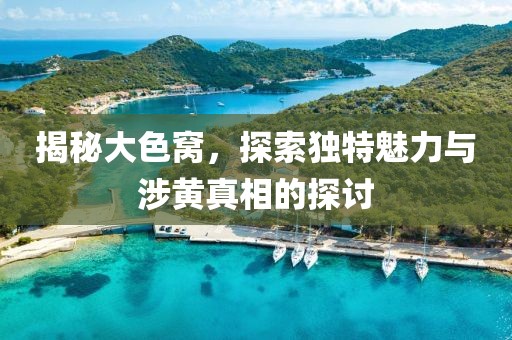 揭秘大色窝，探索独特魅力与涉黄真相的探讨