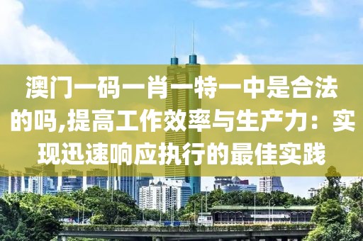 澳门一码一肖一特一中是合法的吗,提高工作效率与生产力：实现迅速响应执行的最佳实践