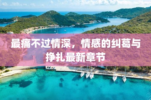 最痛不过情深，情感的纠葛与挣扎最新章节