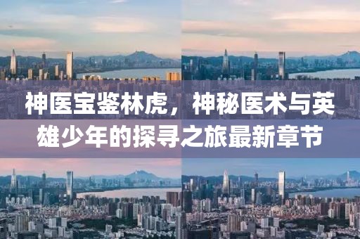神医宝鉴林虎，神秘医术与英雄少年的探寻之旅最新章节