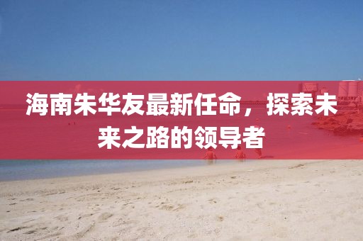 海南朱华友最新任命，探索未来之路的领导者