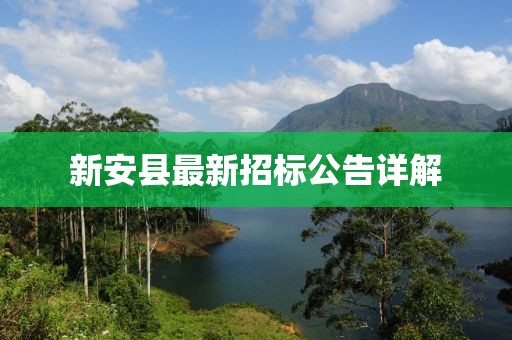新安县最新招标公告详解