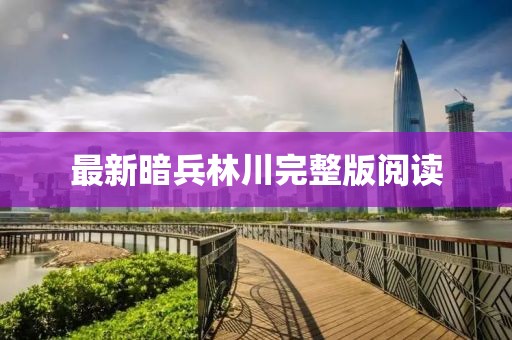 最新暗兵林川完整版阅读