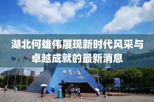 湖北何雄伟展现新时代风采与卓越成就的最新消息