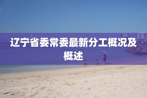 辽宁省委常委最新分工概况及概述