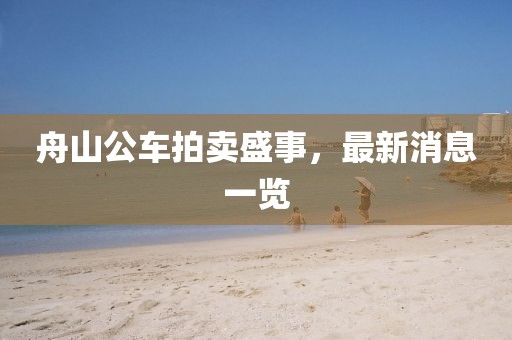 舟山公车拍卖盛事，最新消息一览
