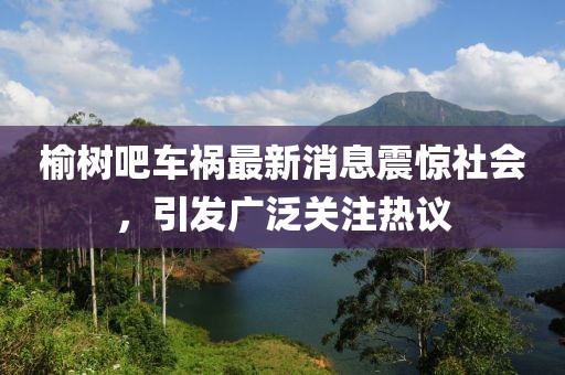 榆树吧车祸最新消息震惊社会，引发广泛关注热议