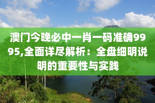 澳门今晚必中一肖一码准确9995,全面详尽解析：全盘细明说明的重要性与实践