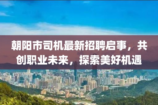 朝阳市司机最新招聘启事，共创职业未来，探索美好机遇