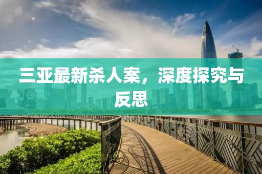 三亚最新杀人案，深度探究与反思