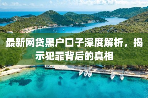 最新网贷黑户口子深度解析，揭示犯罪背后的真相