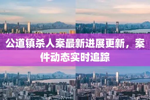 公道镇杀人案最新进展更新，案件动态实时追踪