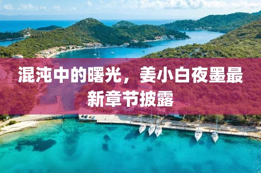 混沌中的曙光，姜小白夜墨最新章节披露