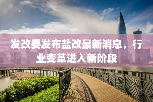 发改委发布盐改最新消息，行业变革进入新阶段