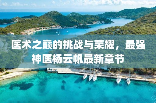 医术之巅的挑战与荣耀，最强神医杨云帆最新章节