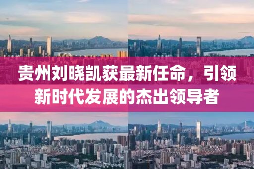 贵州刘晓凯获最新任命，引领新时代发展的杰出领导者