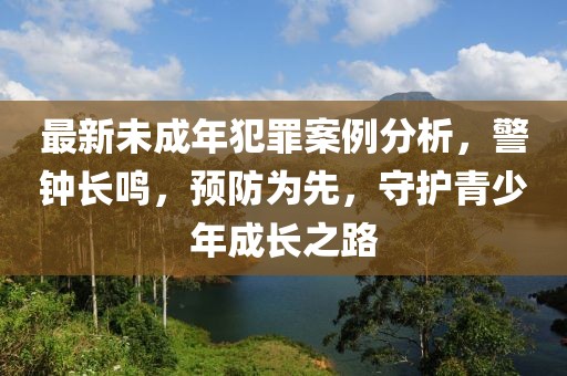 最新未成年犯罪案例分析，警钟长鸣，预防为先，守护青少年成长之路