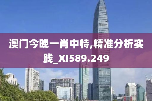 澳门今晚一肖中特,精准分析实践_XI589.249