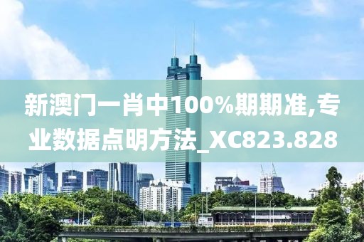 新澳门一肖中100%期期准,专业数据点明方法_XC823.828