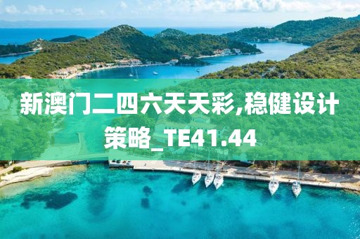 新澳门二四六天天彩,稳健设计策略_TE41.44