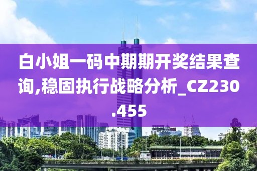 白小姐一码中期期开奖结果查询,稳固执行战略分析_CZ230.455