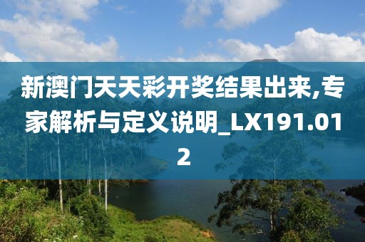 新澳门天天彩开奖结果出来,专家解析与定义说明_LX191.012