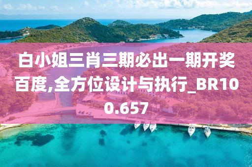 白小姐三肖三期必出一期开奖百度,全方位设计与执行_BR100.657