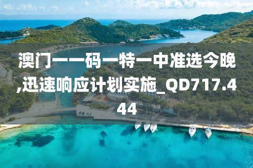 澳门一一码一特一中准选今晚,迅速响应计划实施_QD717.444