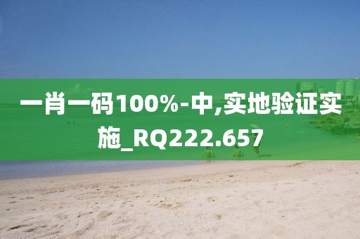 一肖一码100%-中,实地验证实施_RQ222.657