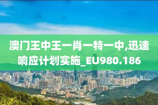 澳门王中王一肖一特一中,迅速响应计划实施_EU980.186