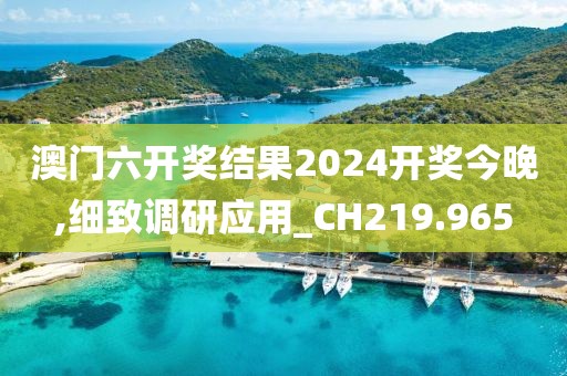澳门六开奖结果2024开奖今晚,细致调研应用_CH219.965