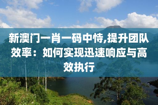 新澳门一肖一码中恃,提升团队效率：如何实现迅速响应与高效执行