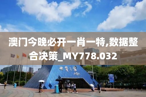 澳门今晚必开一肖一特,数据整合决策_MY778.032
