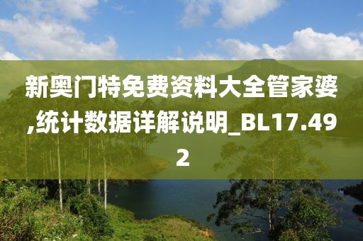 新奥门特免费资料大全管家婆,统计数据详解说明_BL17.492