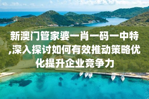 新澳门管家婆一肖一码一中特,深入探讨如何有效推动策略优化提升企业竞争力