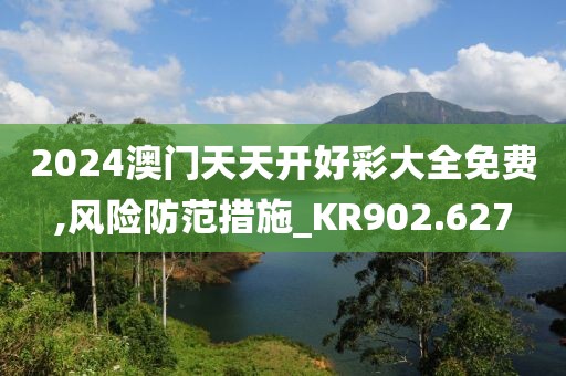 2024澳门天天开好彩大全免费,风险防范措施_KR902.627