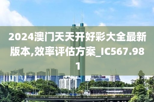 2024澳门天天开好彩大全最新版本,效率评估方案_IC567.981