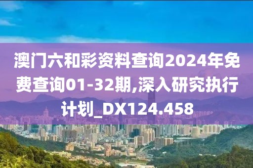 澳门六和彩资料查询2024年免费查询01-32期,深入研究执行计划_DX124.458