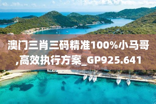 澳门三肖三码精准100%小马哥,高效执行方案_GP925.641