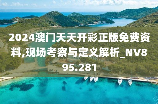 2024澳门天天开彩正版免费资料,现场考察与定义解析_NV895.281
