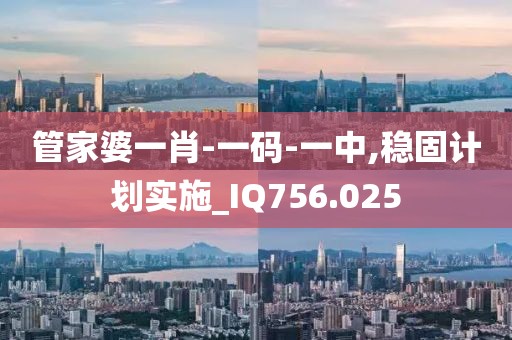 管家婆一肖-一码-一中,稳固计划实施_IQ756.025