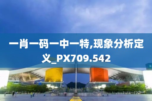 一肖一码一中一特,现象分析定义_PX709.542