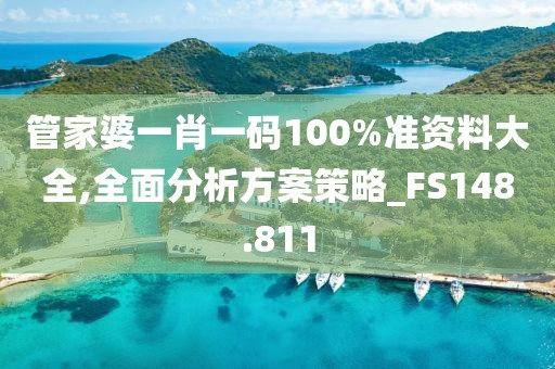 管家婆一肖一码100%准资料大全,全面分析方案策略_FS148.811
