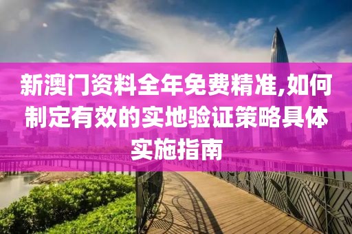 新澳门资料全年免费精准,如何制定有效的实地验证策略具体实施指南