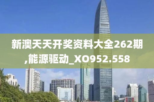 新澳天天开奖资料大全262期,能源驱动_XO952.558
