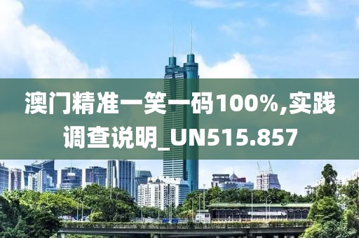 澳门精准一笑一码100%,实践调查说明_UN515.857