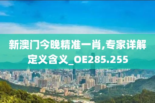 新澳门今晚精准一肖,专家详解定义含义_OE285.255