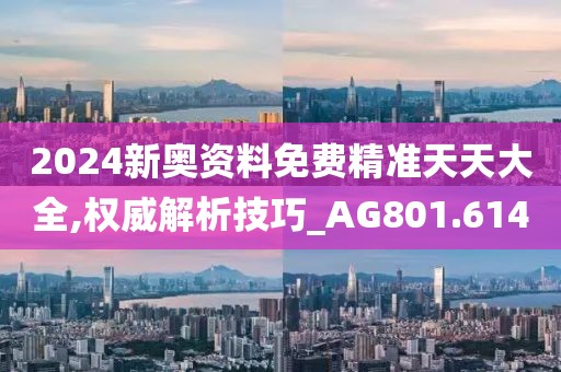 2024新奥资料免费精准天天大全,权威解析技巧_AG801.614