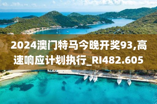 2024澳门特马今晚开奖93,高速响应计划执行_RI482.605